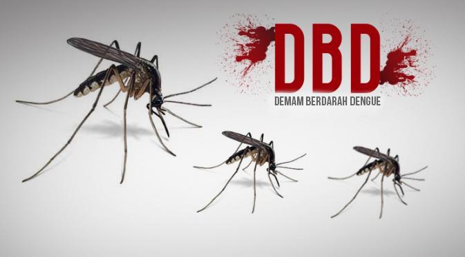 Ciri-ciri DBD (Deman Berdarah Dengue) Yang Harus Diwaspadai