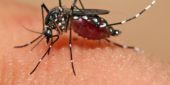 Ciri-Ciri Terkena penyakit Virus Zika